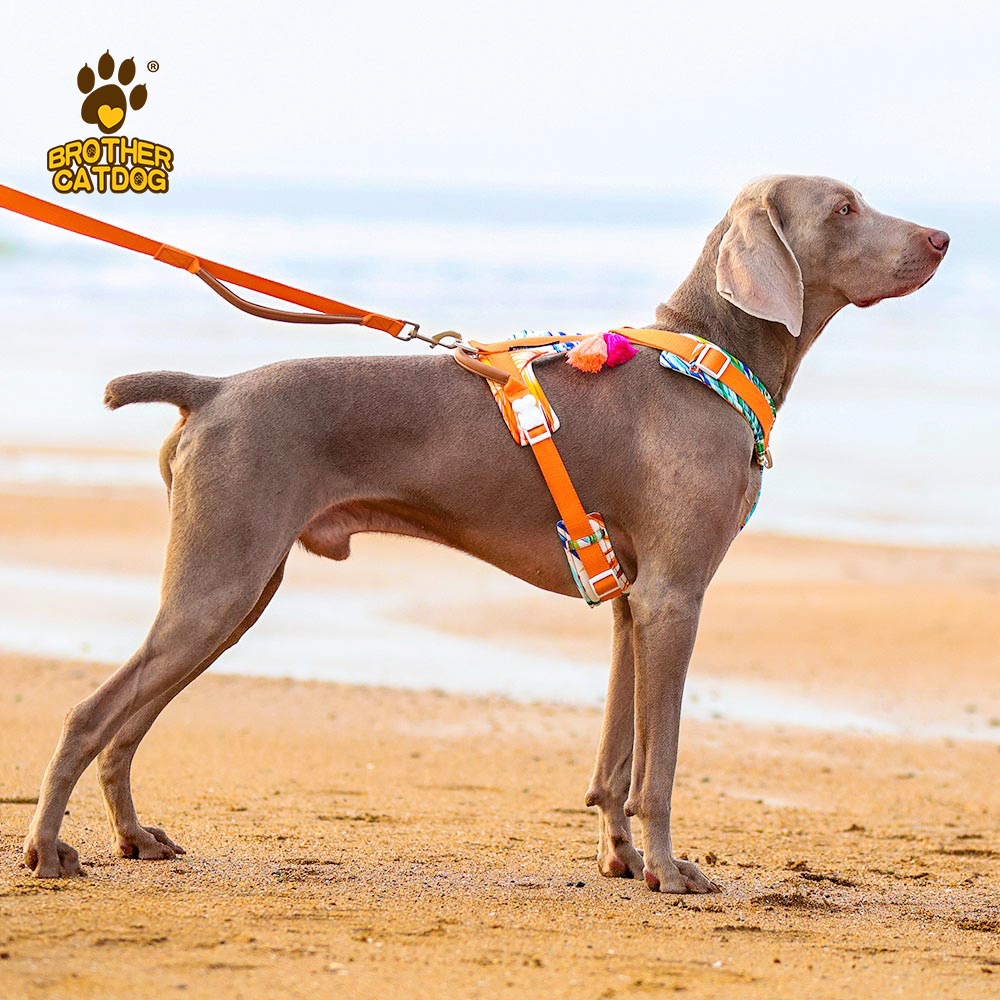 Dog harness no pull / dog leash and harness / dog vest