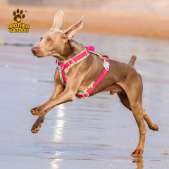 Dog harness for large dogs / Pet Supplies For Dog