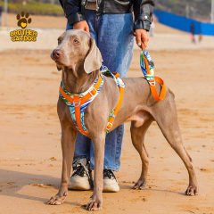Dog harness no pull / dog leash and harness / dog vest