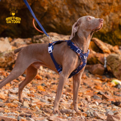 Quality Puppy and Dog Harnesses / Custom dog harness