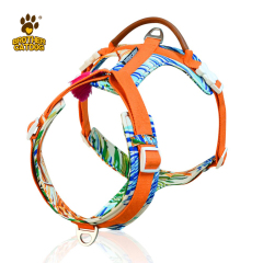 Dog harness no pull / dog leash and harness / dog vest