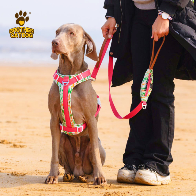 Dog harness for large dogs / Pet Supplies For Dog