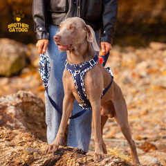 Adjustable Dog Harness / Strong Dog Harness / Dog Supplies Customize