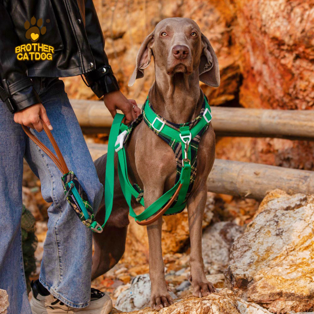 Wholesale Pet Supplies / Dog Harness For Large Dogs