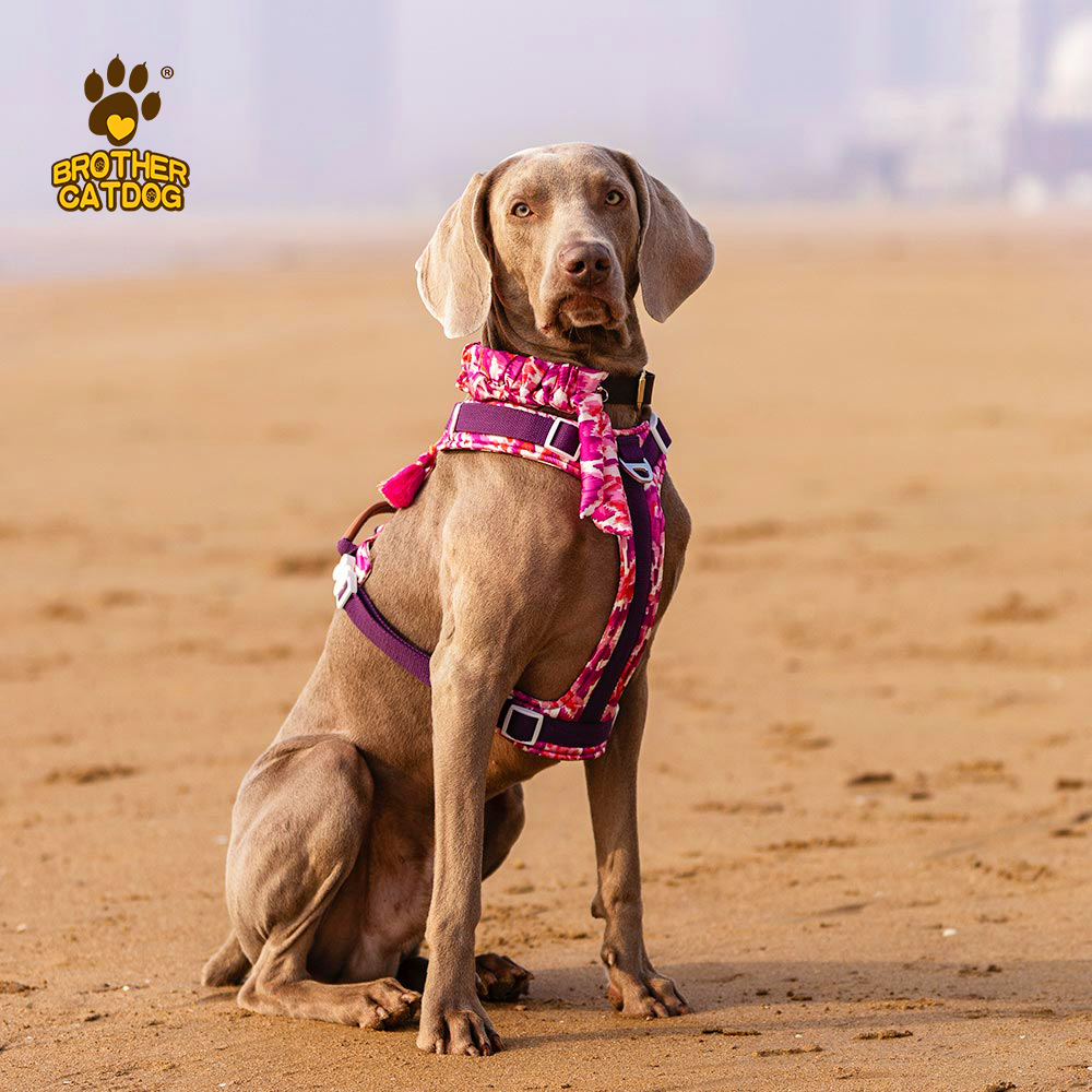 Dog Harness With Handle / No Pull Dog Harness