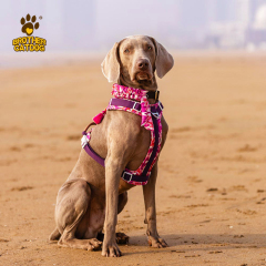 Dog Harness With Handle / No Pull Dog Harness