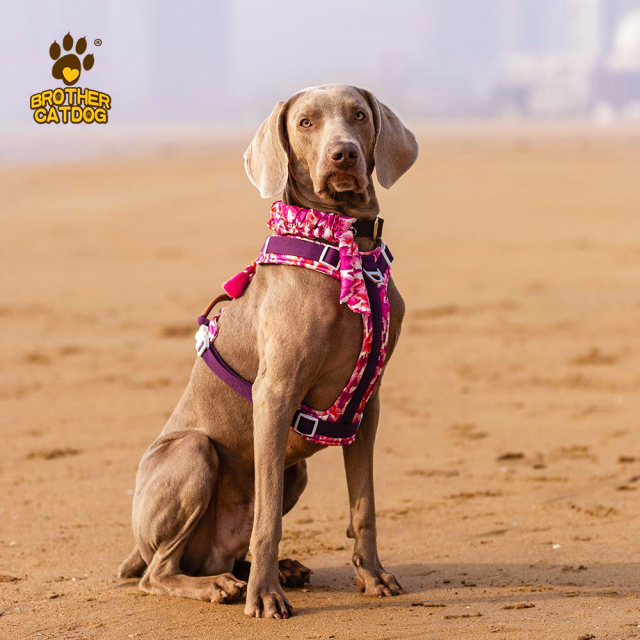 Dog Harness With Handle / No Pull Dog Harness
