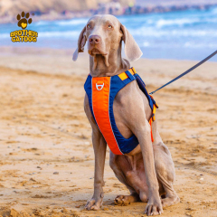 Dog Harness with Bag / Harness Backpacks/ Pet Supplies For Dogs
