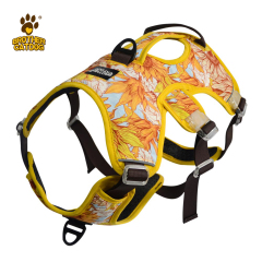 Custom Dog Harness -Personalized For Comfort / wholesale pet supplies