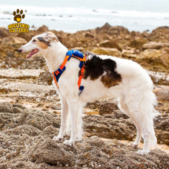 Dog Harness with Bag / Harness Backpacks/ Pet Supplies For Dogs