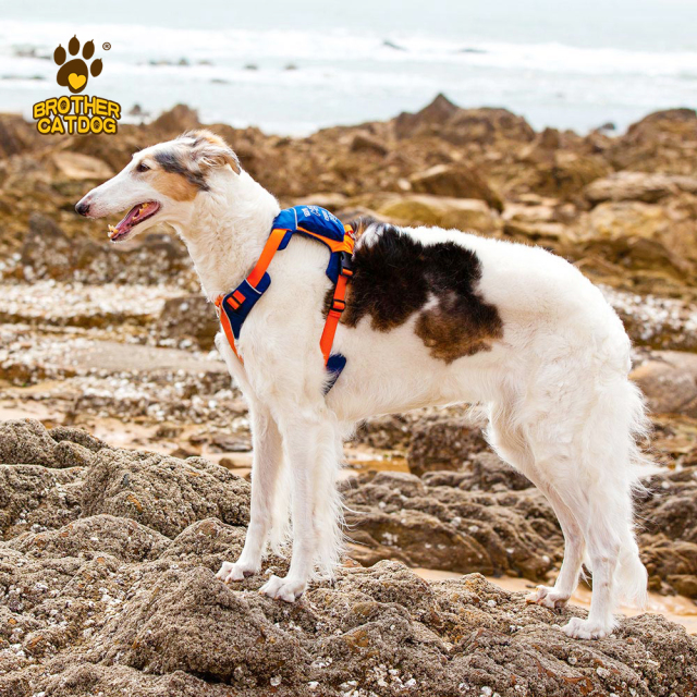 Dog Harness with Bag / Harness Backpacks/ Pet Supplies For Dogs