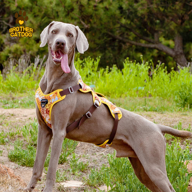 Custom Dog Harness -Personalized For Comfort / wholesale pet supplies