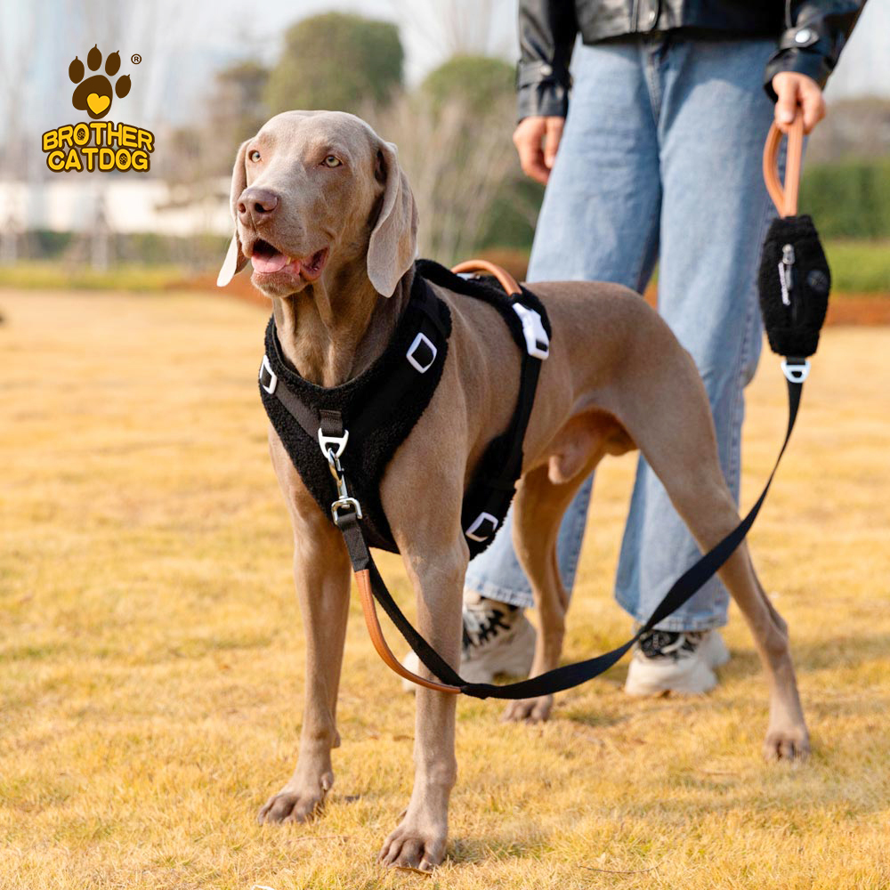 Dog Support Vest Harness / Custom Pet Supplies