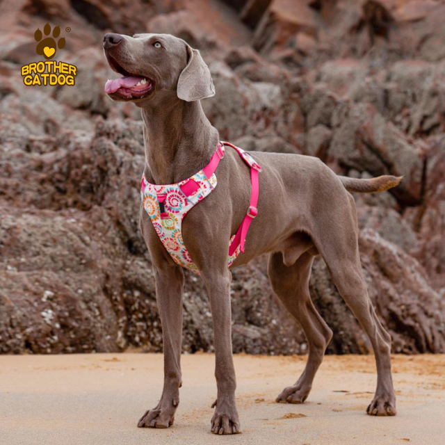 Professional Custom Polyester Dog Harness & Personalized Pet Harness