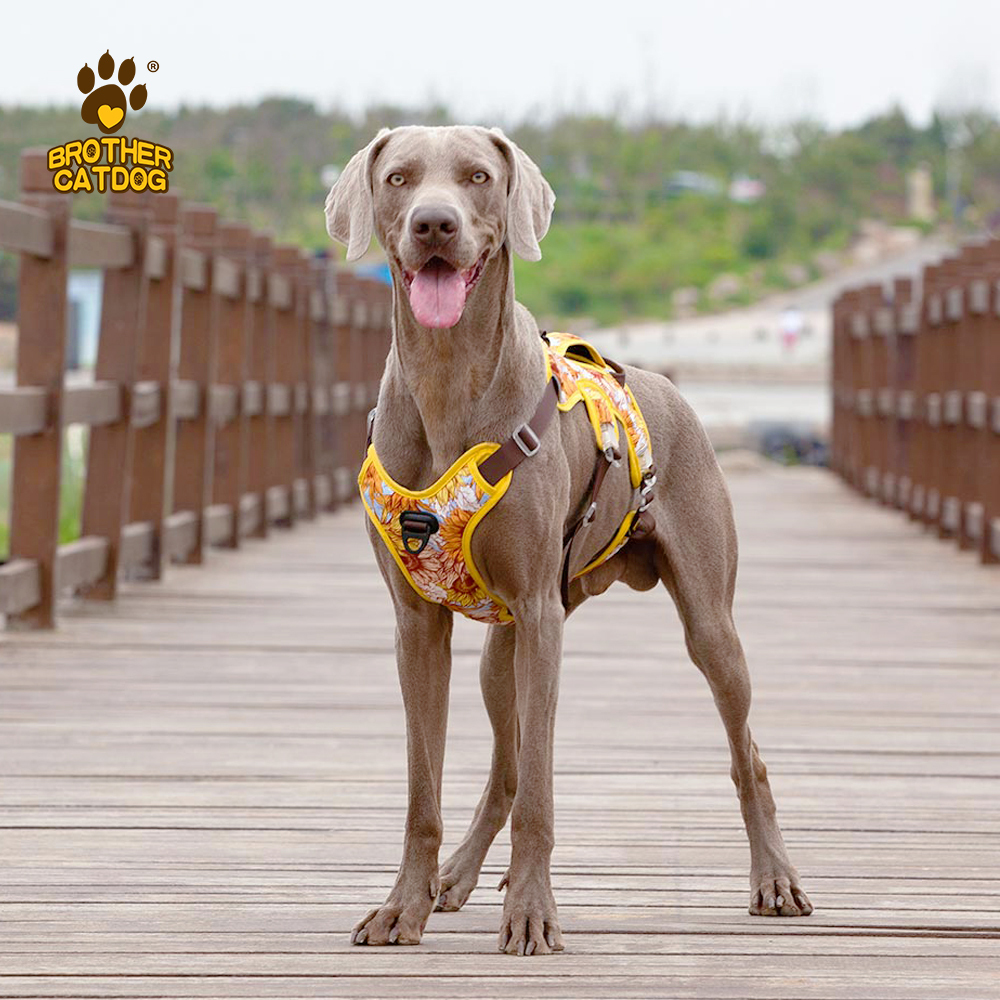 Custom Dog Harness -Personalized For Comfort / wholesale pet supplies