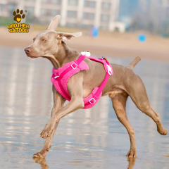 Dog Support Vest Harness / Custom Pet Supplies