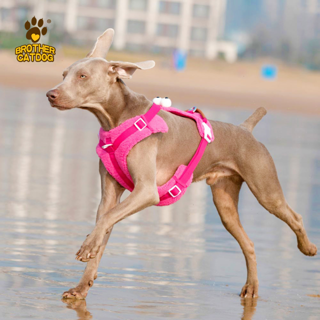 Dog Support Vest Harness / Custom Pet Supplies