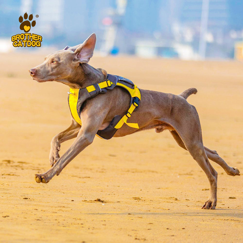 Dog Harness with Bag / Harness Backpacks/ Pet Supplies For Dogs