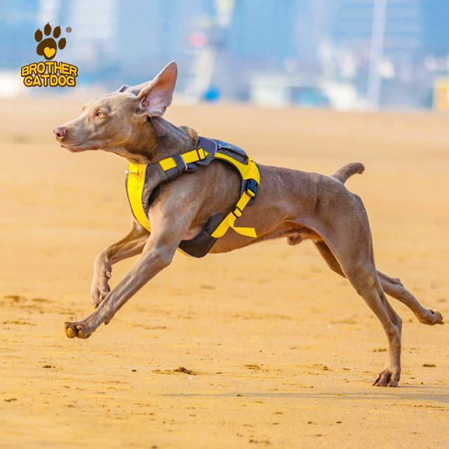 Dog Harness with Bag / Harness Backpacks/ Pet Supplies For Dogs