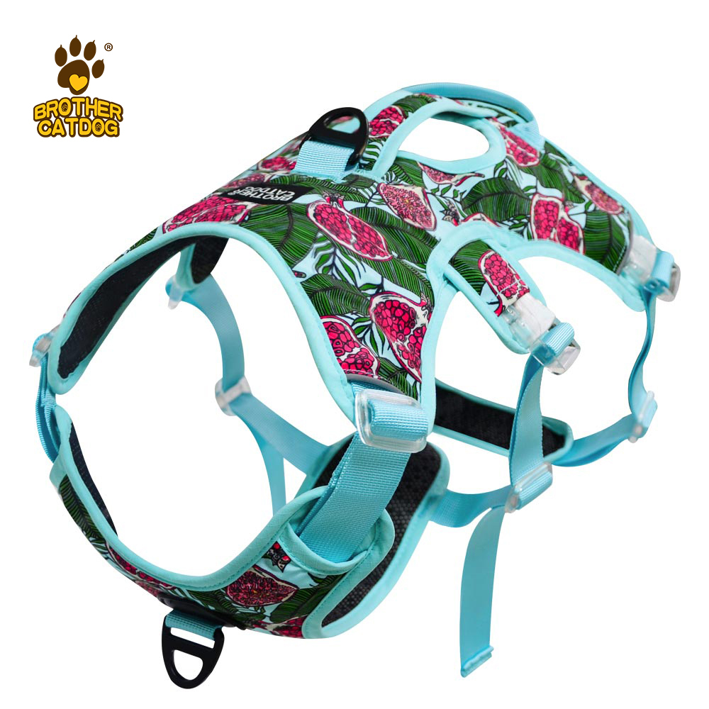 Wholesale Pet Supplies / Dog Harness Custom Design / Dog Accessories