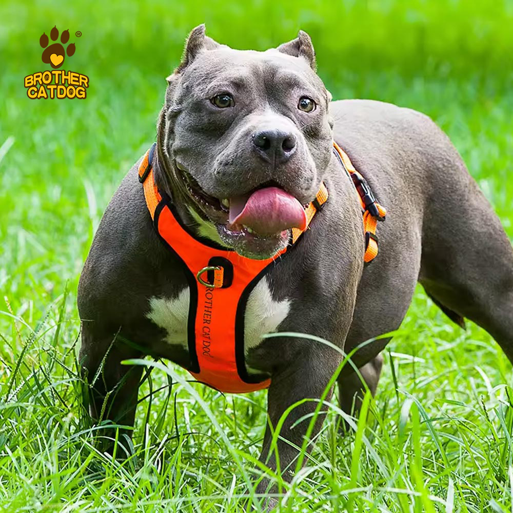 Adjustable dog harness / Dog harness for large dogs / Dog supplies