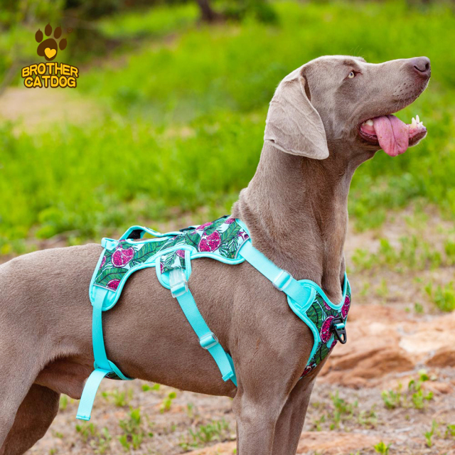Wholesale Pet Supplies / Dog Harness Custom Design / Dog Accessories