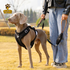 Dog Support Vest Harness / Custom Pet Supplies