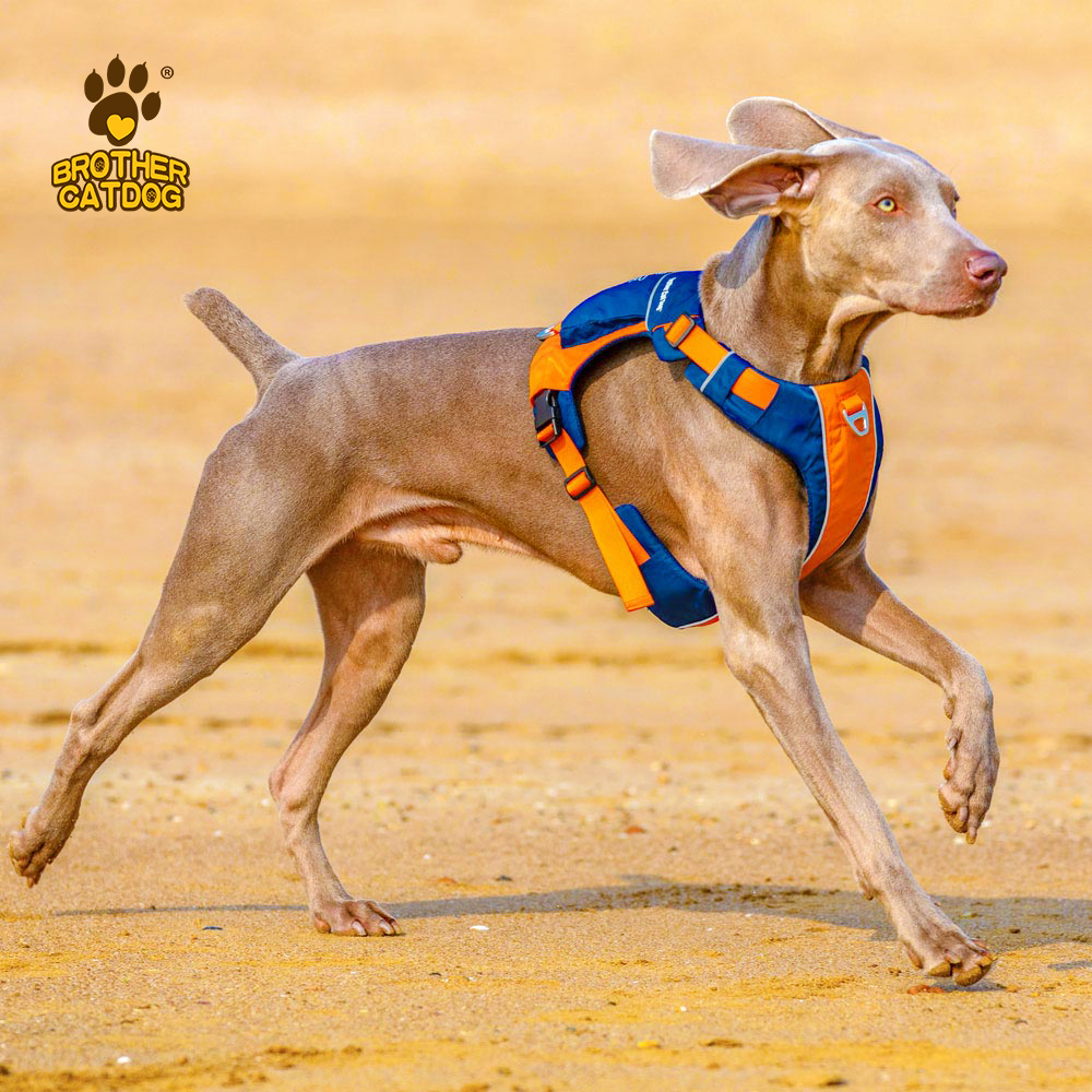 Dog Harness with Bag / Harness Backpacks/ Pet Supplies For Dogs