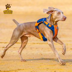 Dog Harness with Bag / Harness Backpacks/ Pet Supplies For Dogs