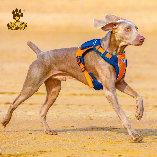Dog Harness with Bag / Harness Backpacks/ Pet Supplies For Dogs