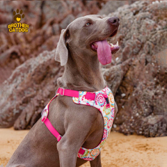 Professional Custom Polyester Dog Harness & Personalized Pet Harness