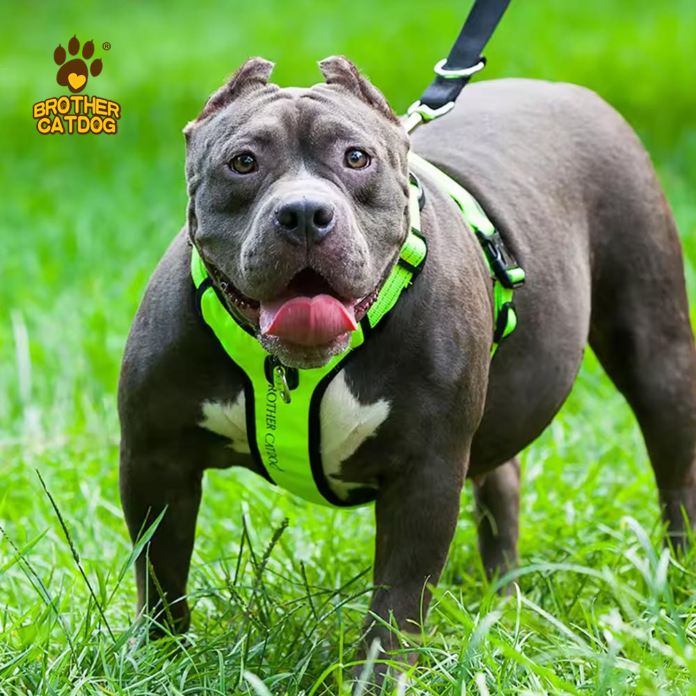 Adjustable dog harness / Dog harness for large dogs / Dog supplies