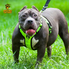 Adjustable dog harness / Dog harness for large dogs / Dog supplies