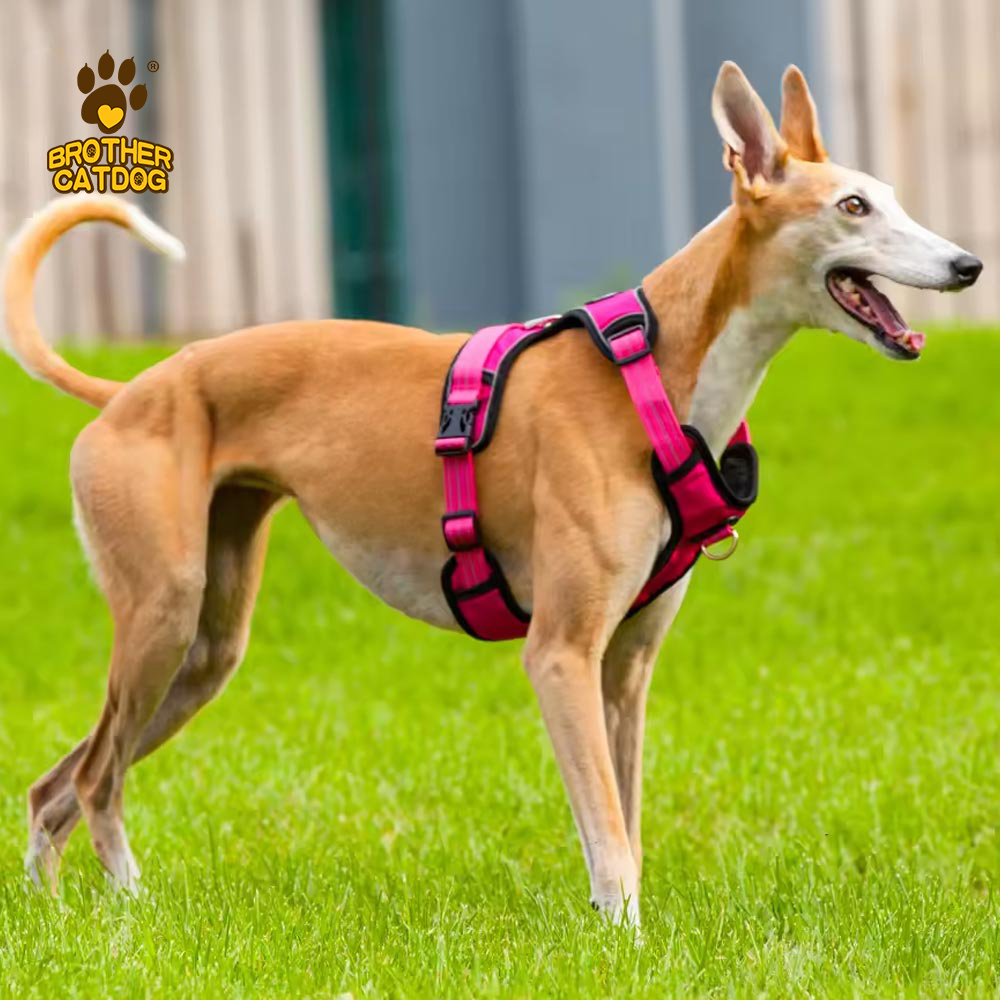 Adjustable dog harness / Dog harness for large dogs / Dog supplies