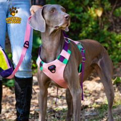 Personalized Dog Harness / Dog Outwear / Wholesale Pet Supplies