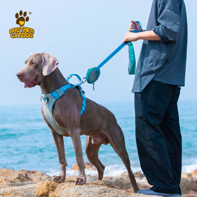 Dog Harness Custom Logo / Collars  & Leashes For Dogs