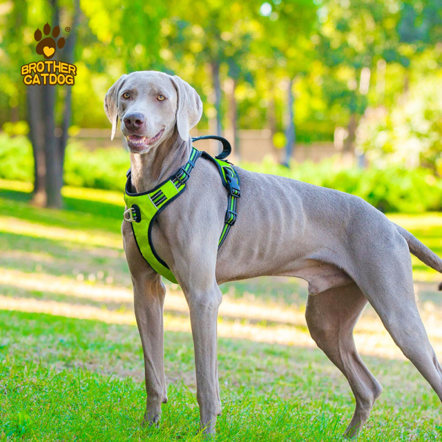 Dog accessories pet training supplies / Dog harness no pull / Wholesale dog harnesses
