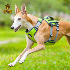 Eco-friendly dog supplies / Dog harness custom logo