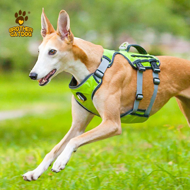 Eco-friendly dog supplies / Dog harness custom logo