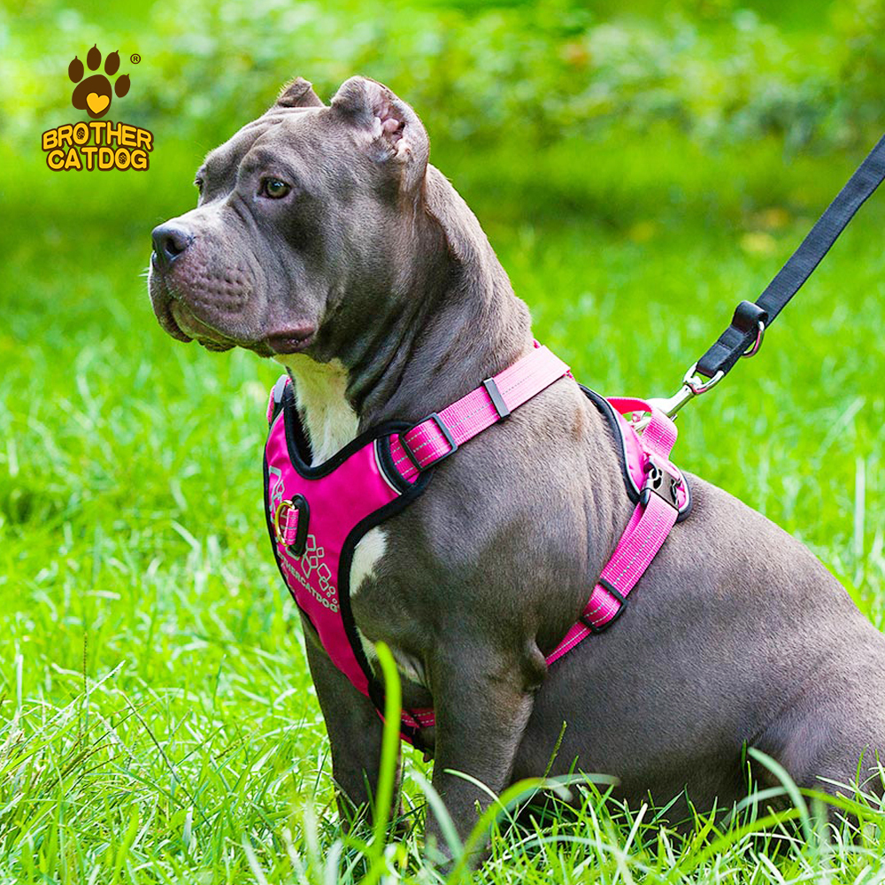Custom dog harness /  Wholesale dog harness set / No Pull Dog Harness