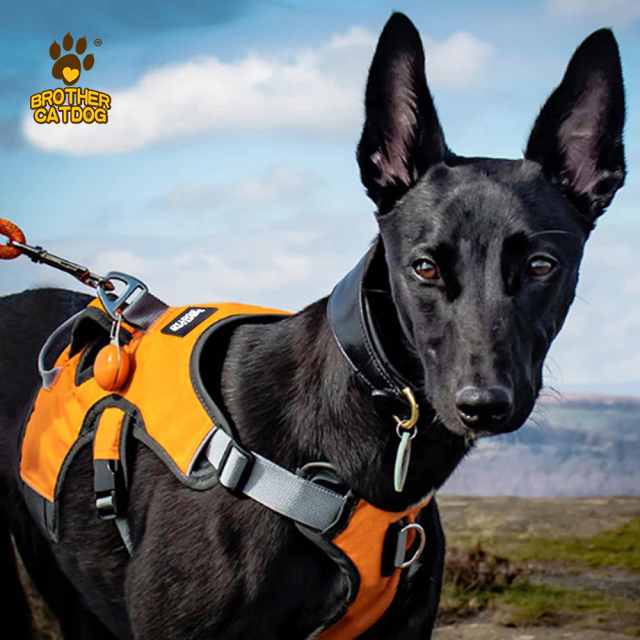 Waterproof Dog Harness / Dog Harness For Large dogs