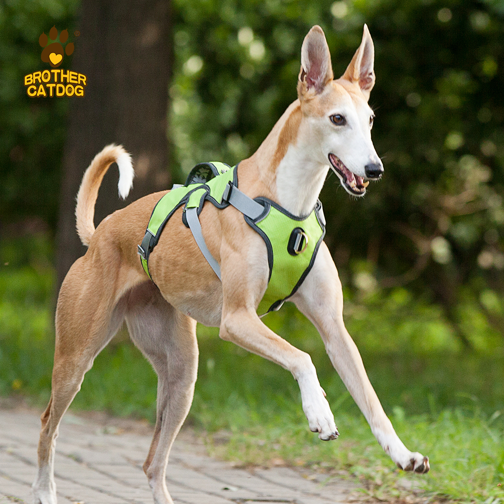 Waterproof Dog Harness / Dog Harness For Large dogs