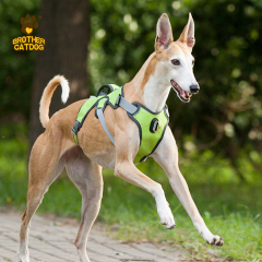 Waterproof Dog Harness / Dog Harness For Large dogs