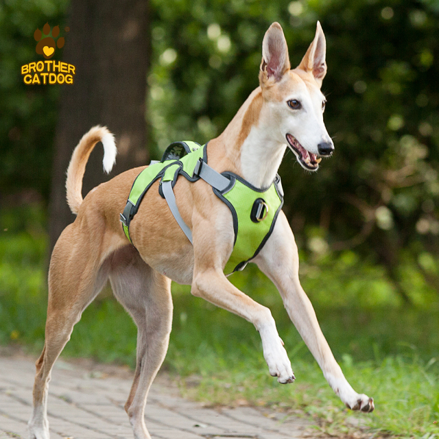 Waterproof Dog Harness / Dog Harness For Large dogs