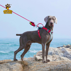 Dog Harness Custom Logo / Collars  & Leashes For Dogs