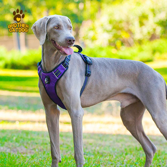 Dog accessories pet training supplies / Dog harness no pull / Wholesale dog harnesses