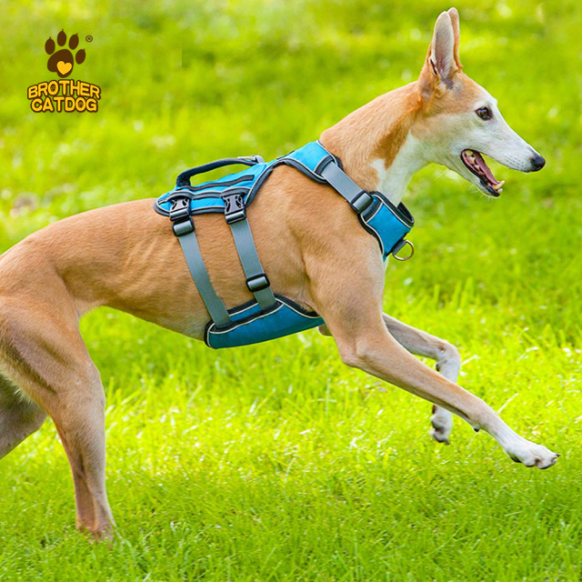 Eco-friendly dog supplies / Dog harness custom logo