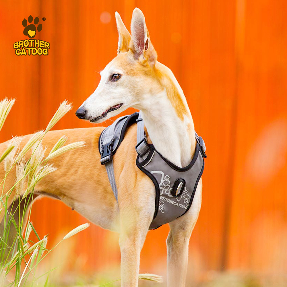Custom dog harness /  Wholesale dog harness set / No Pull Dog Harness