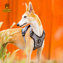 Custom dog harness /  Wholesale dog harness set / No Pull Dog Harness