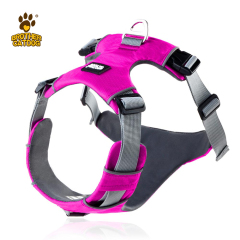 Personalized Dog Harness / Quality Dog Harness /  Everyday Harnesses for dogs